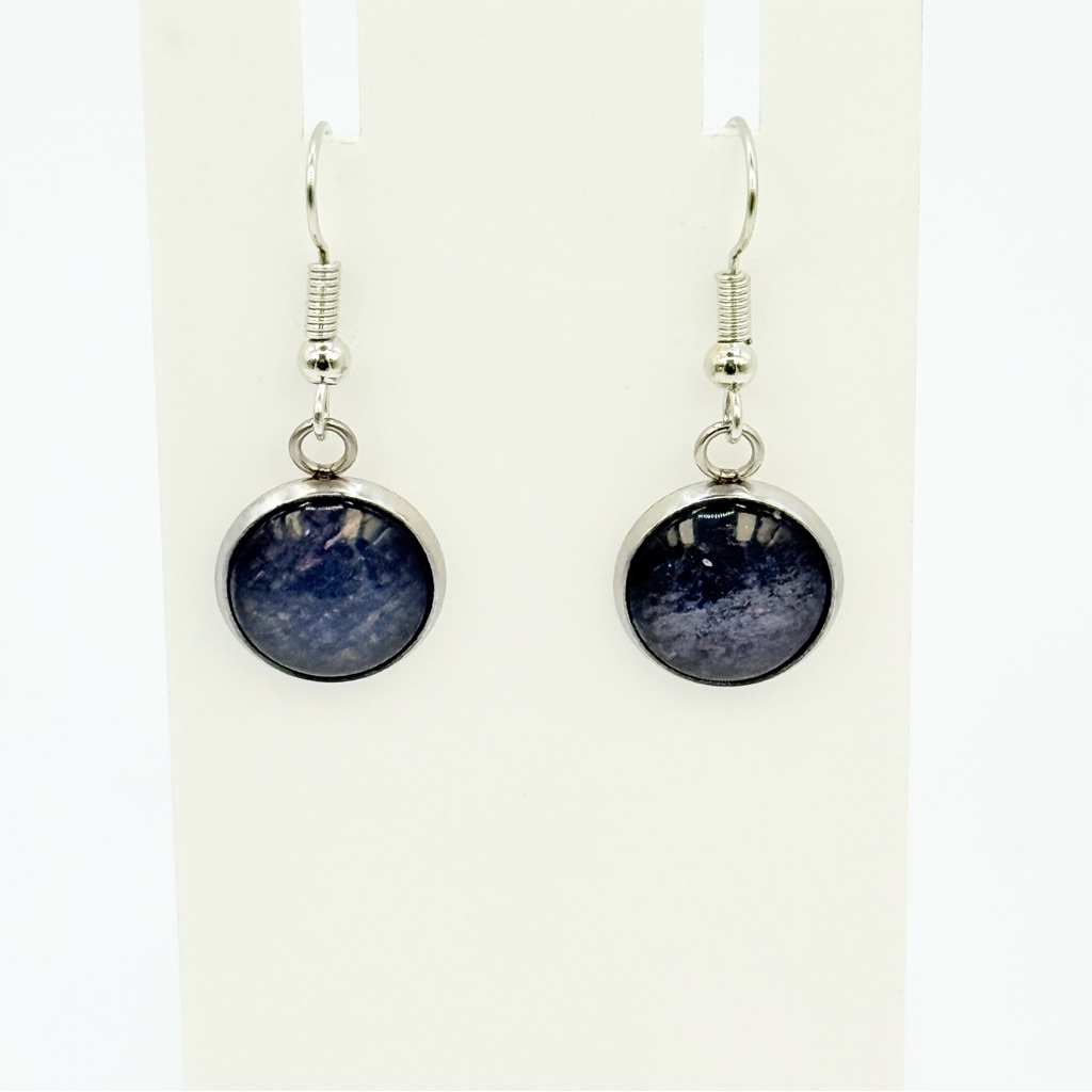 Chic Silver And Dark Blue Earrings 28$